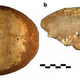 Illustration for article titled Early Humans May Have Interbred With Neanderthals 55,000 Years Ago